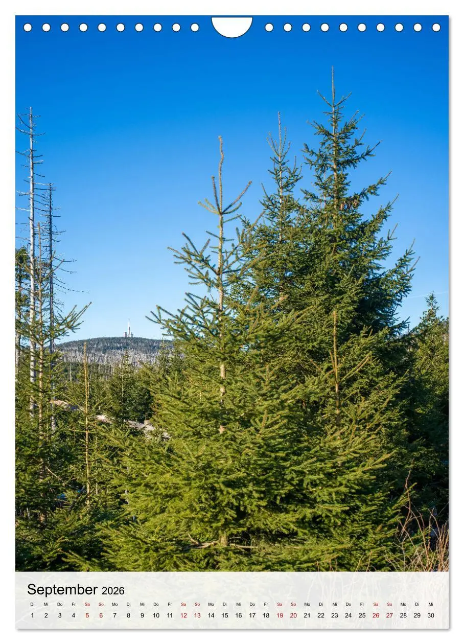 Bild: 9783457249000 | Harzer Landschaften - 12 Monate im Naturparadies Harz (Wandkalender...
