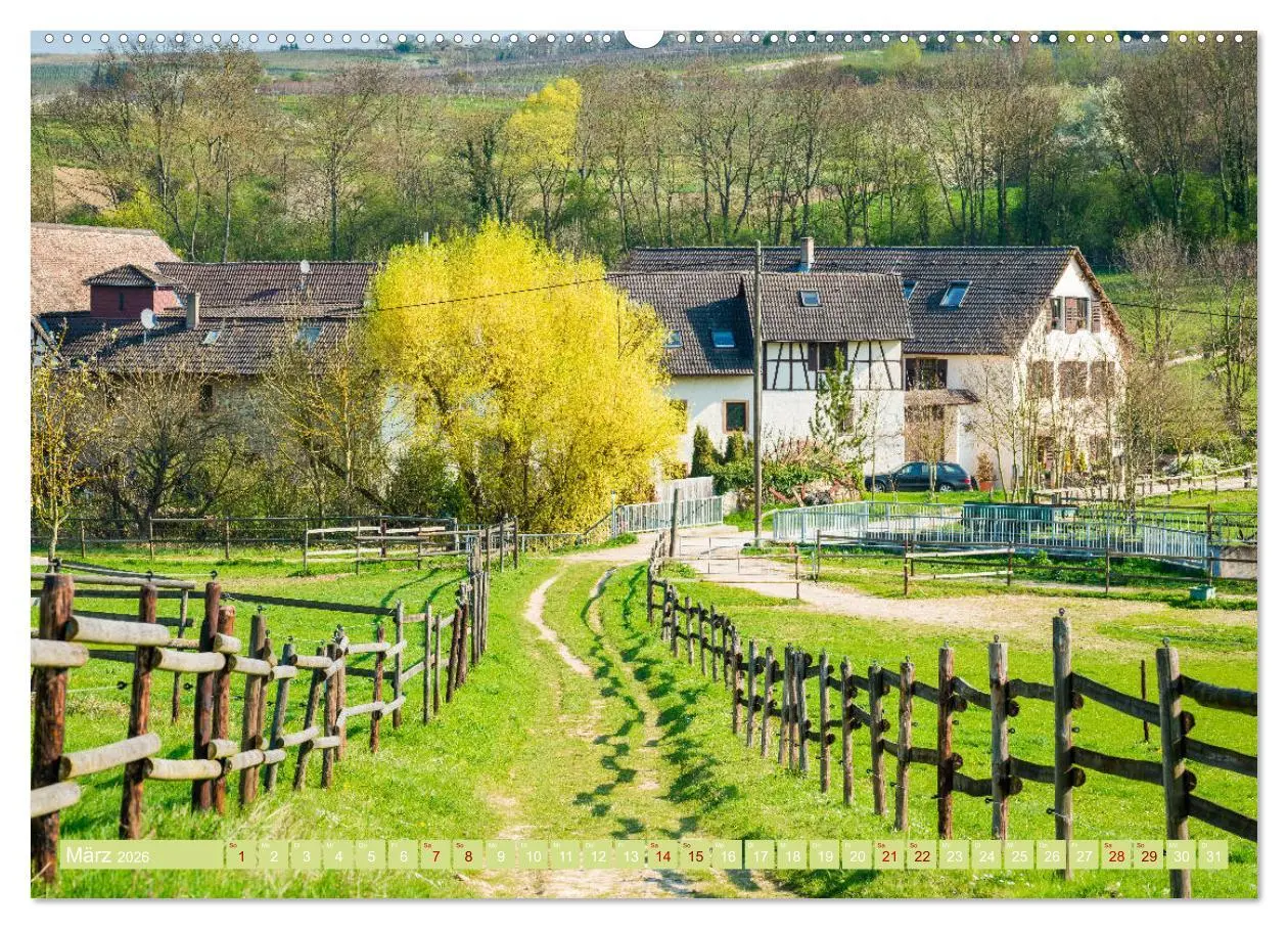 Bild: 9783457869000 | Rheinhessen-Impressionen (Wandkalender 2026 DIN A2 quer), CALVENDO...