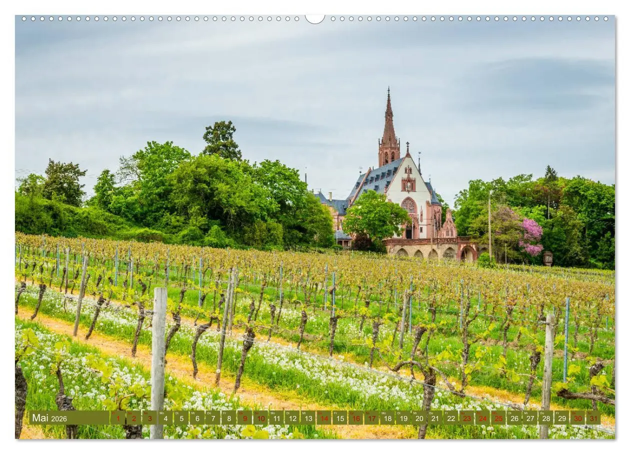 Bild: 9783457869000 | Rheinhessen-Impressionen (Wandkalender 2026 DIN A2 quer), CALVENDO...