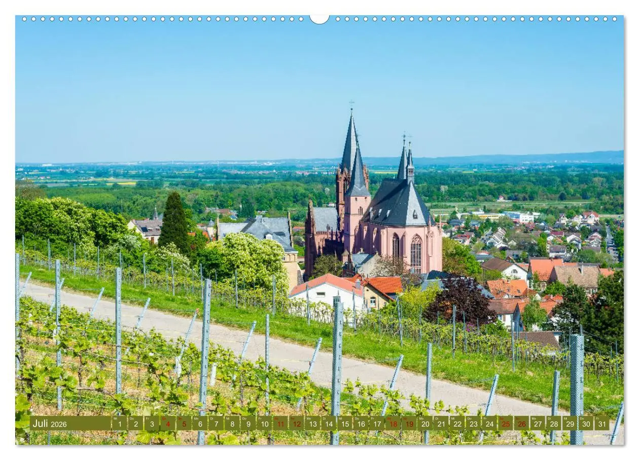 Bild: 9783457869000 | Rheinhessen-Impressionen (Wandkalender 2026 DIN A2 quer), CALVENDO...