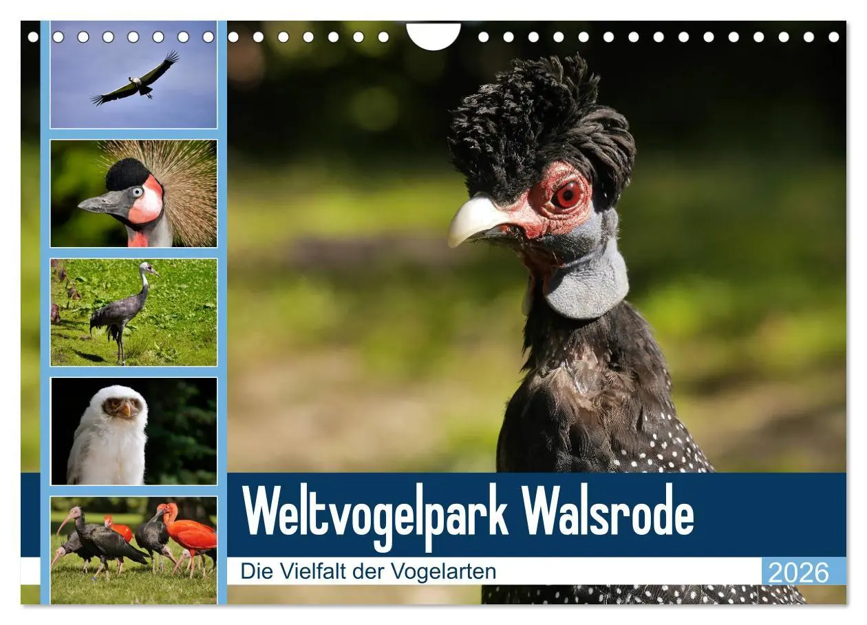 Cover: 9783457939000 | Weltvogelpark Walsrode - Die Vielfalt der Vogelarten (Wandkalender...