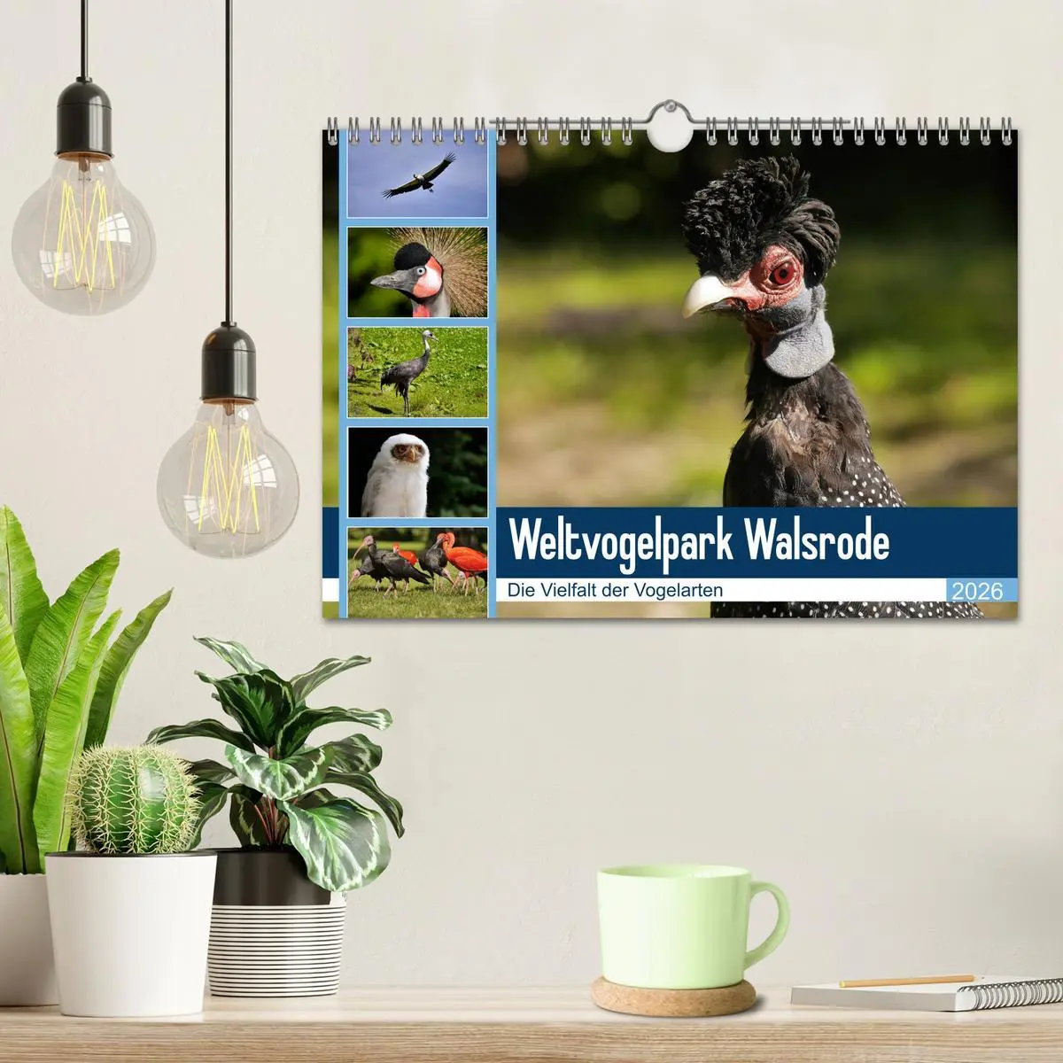 Bild: 9783457939000 | Weltvogelpark Walsrode - Die Vielfalt der Vogelarten (Wandkalender...
