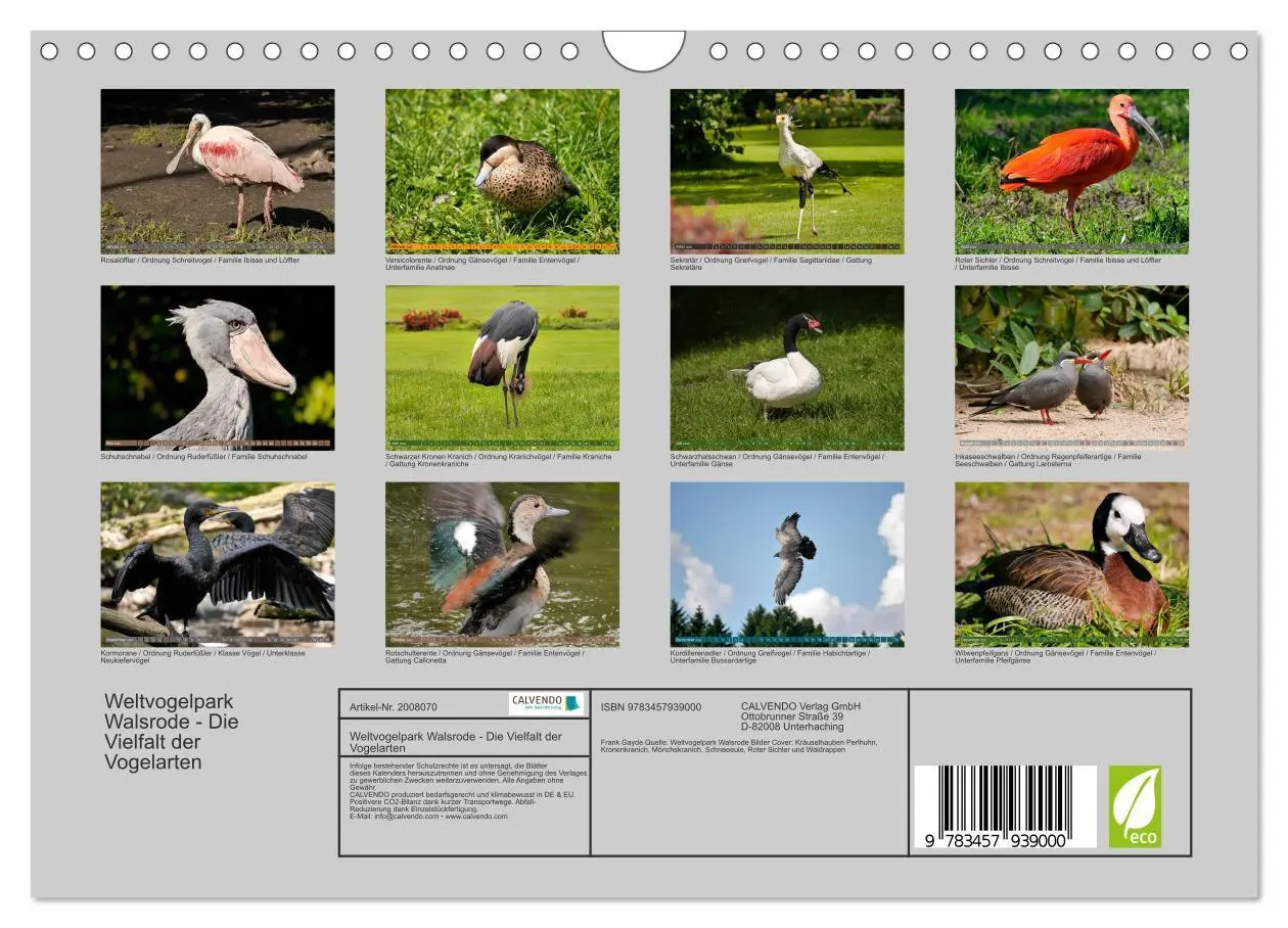 Bild: 9783457939000 | Weltvogelpark Walsrode - Die Vielfalt der Vogelarten (Wandkalender...