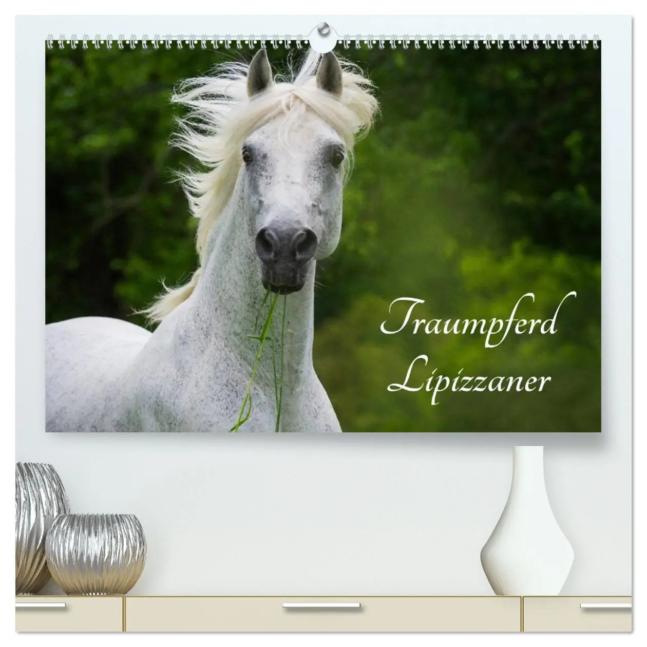 Cover: 9783516029000 | Traumpferd Lipizzaner (hochwertiger Premium Wandkalender 2026 DIN...