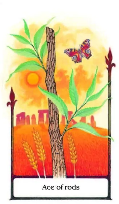 Bild: 9783868269000 | Tarot of the Old Path - 78 Cards and Booklet (English Edition -...