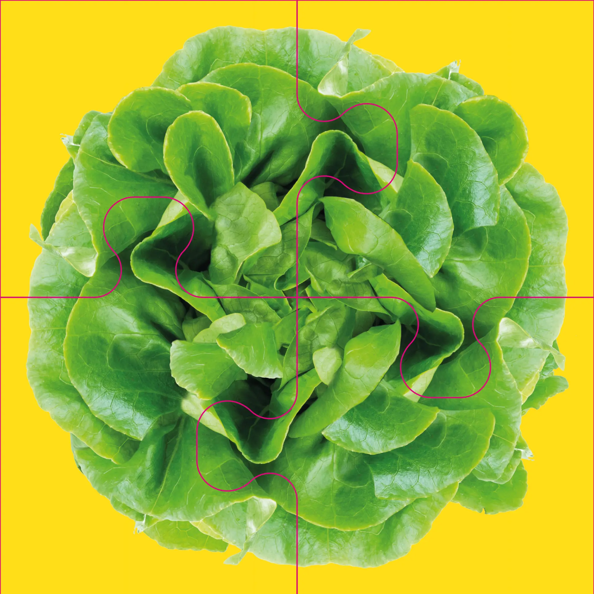 Bild: 4280000809100 | Das "Gelingt immer"-Puzzle Gemüse. Das Puzzle-Spiel für Senioren...