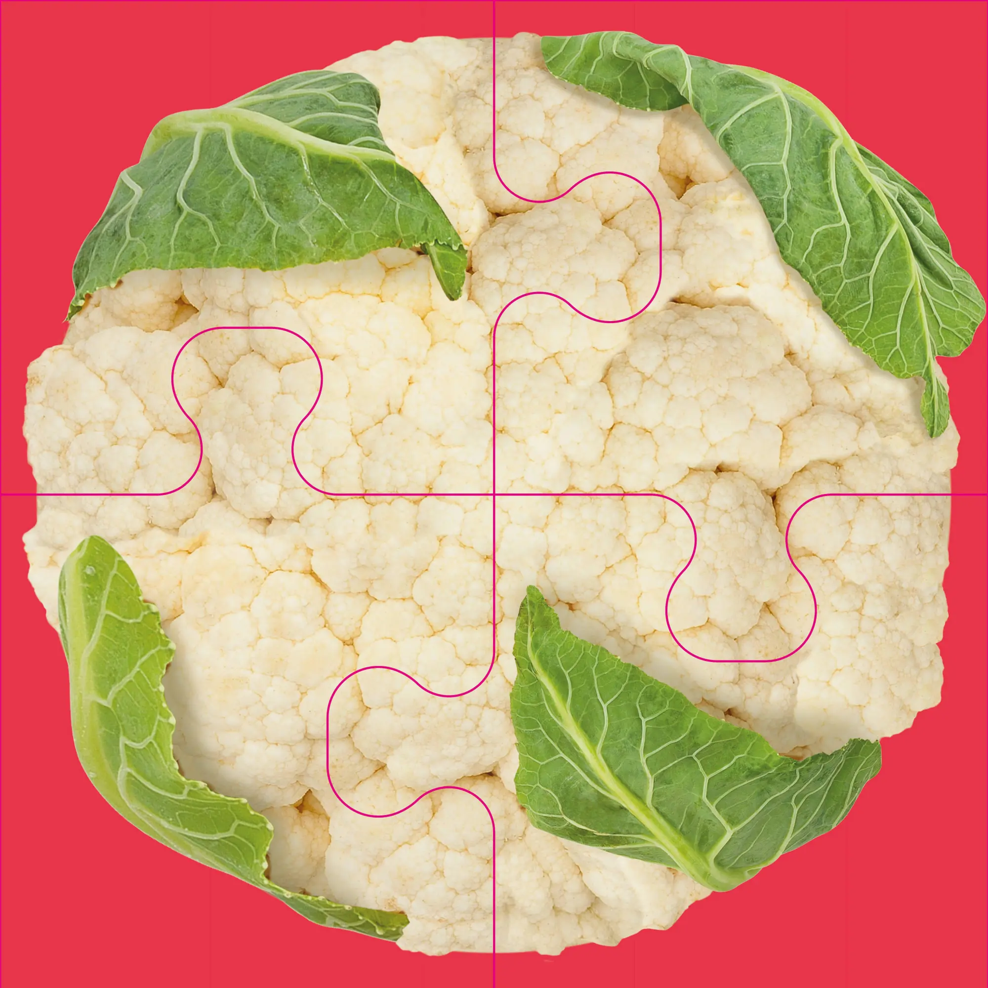 Bild: 4280000809100 | Das "Gelingt immer"-Puzzle Gemüse. Das Puzzle-Spiel für Senioren...