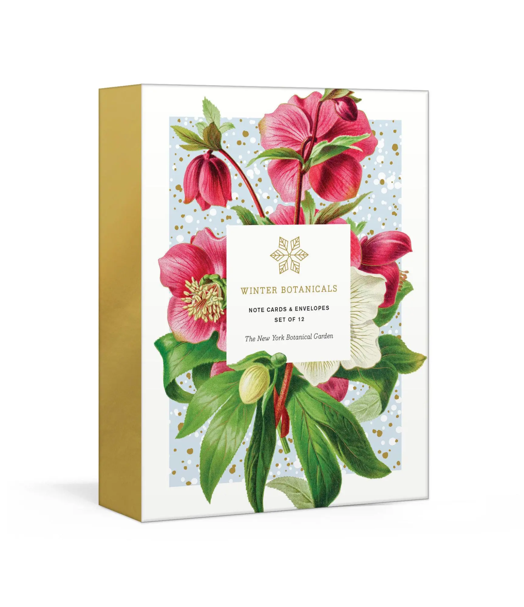 Cover: 9781524759100 | Winter Botanicals Note Cards | Note Cards and Envelopes: Set of 12
