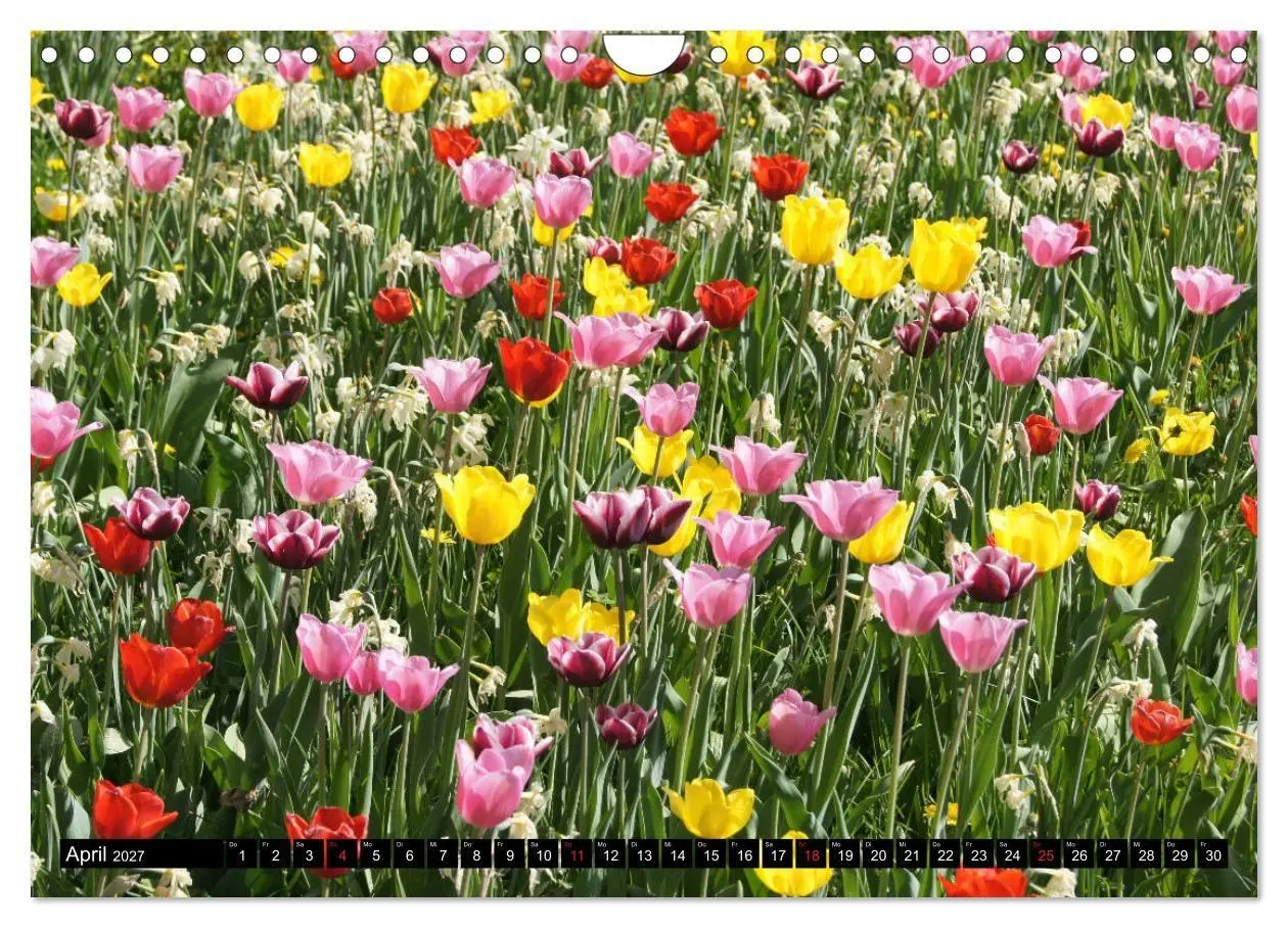 Bild: 9783569729100 | Heidenheim an der Brenz (Wandkalender 2027 DIN A4 quer), CALVENDO...