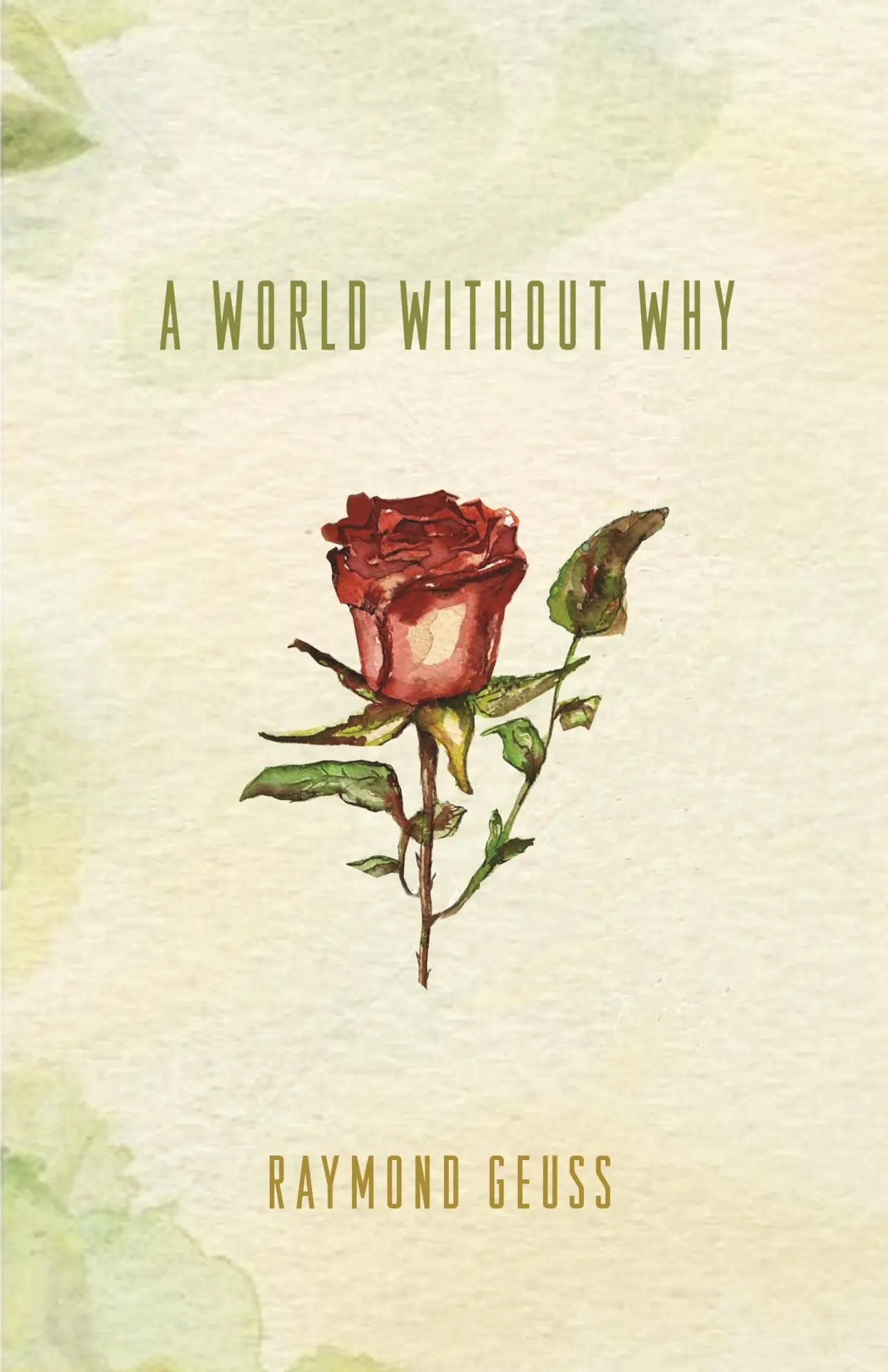 Cover: 9780691169200 | A World Without Why | Raymond Geuss | Taschenbuch | Englisch | 2016