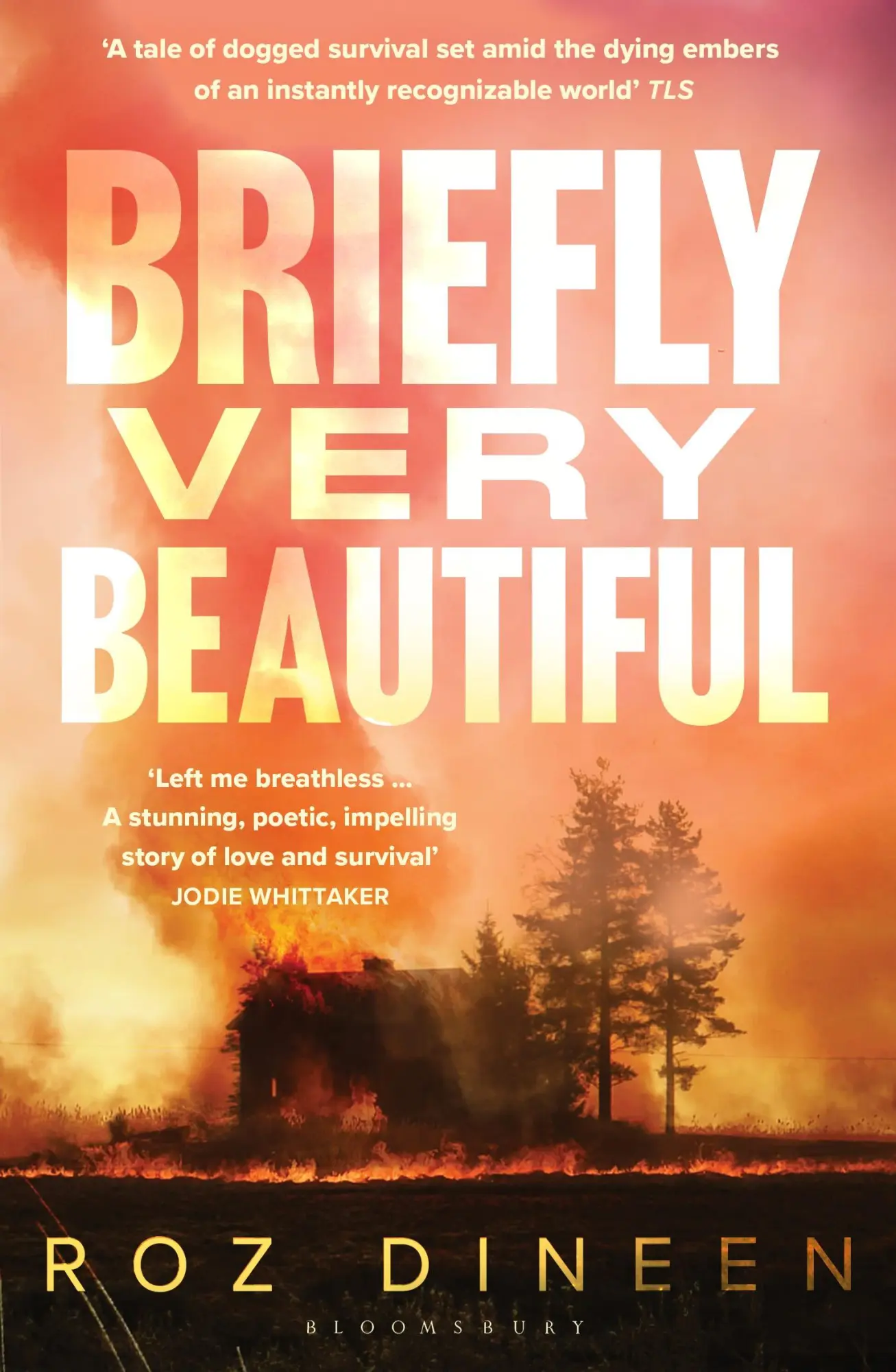 Cover: 9781526659200 | Briefly Very Beautiful | Roz Dineen | Taschenbuch | Paperback | 2025
