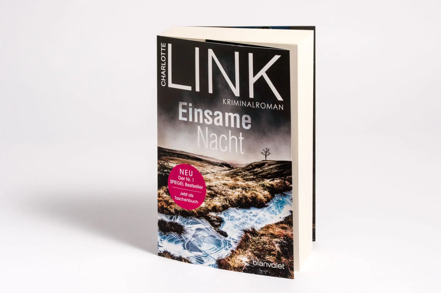 Bild: 9783442379200 | Einsame Nacht | Charlotte Link | Taschenbuch | Die Kate-Linville-Reihe