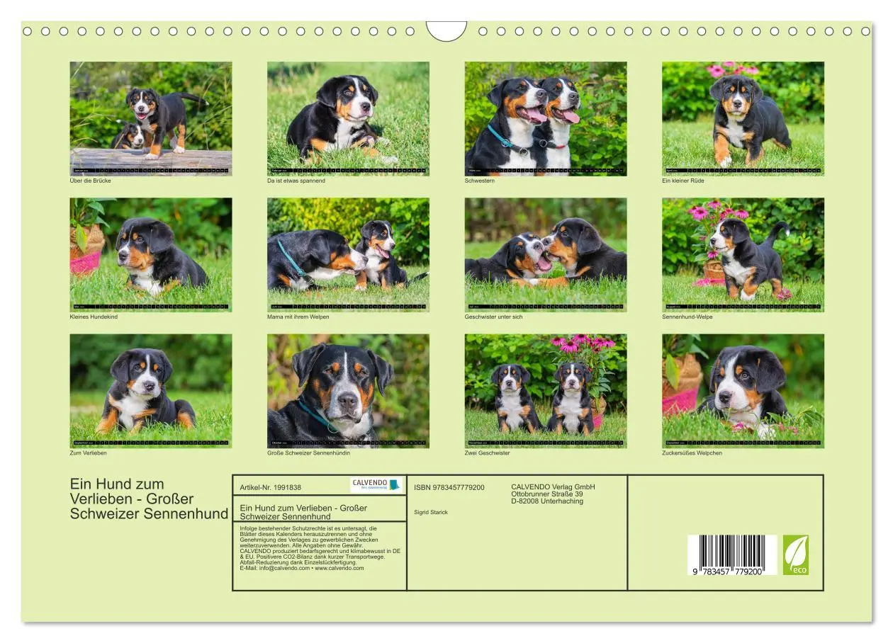 Bild: 9783457779200 | Ein Hund zum Verlieben - Großer Schweizer Sennenhund (Wandkalender...