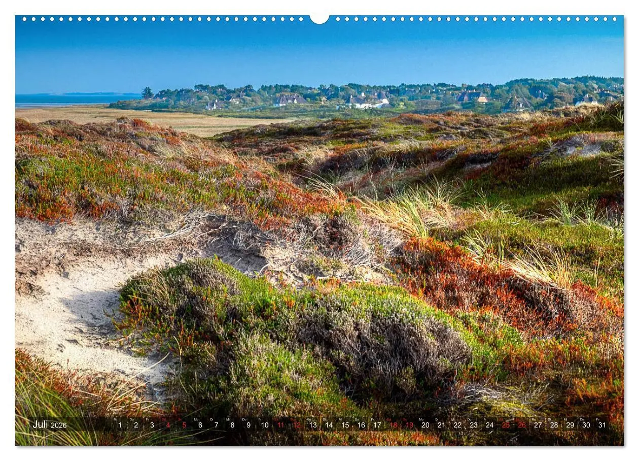 Bild: 9783457919200 | Sylt - Farbige Momente (Wandkalender 2026 DIN A2 quer), CALVENDO...