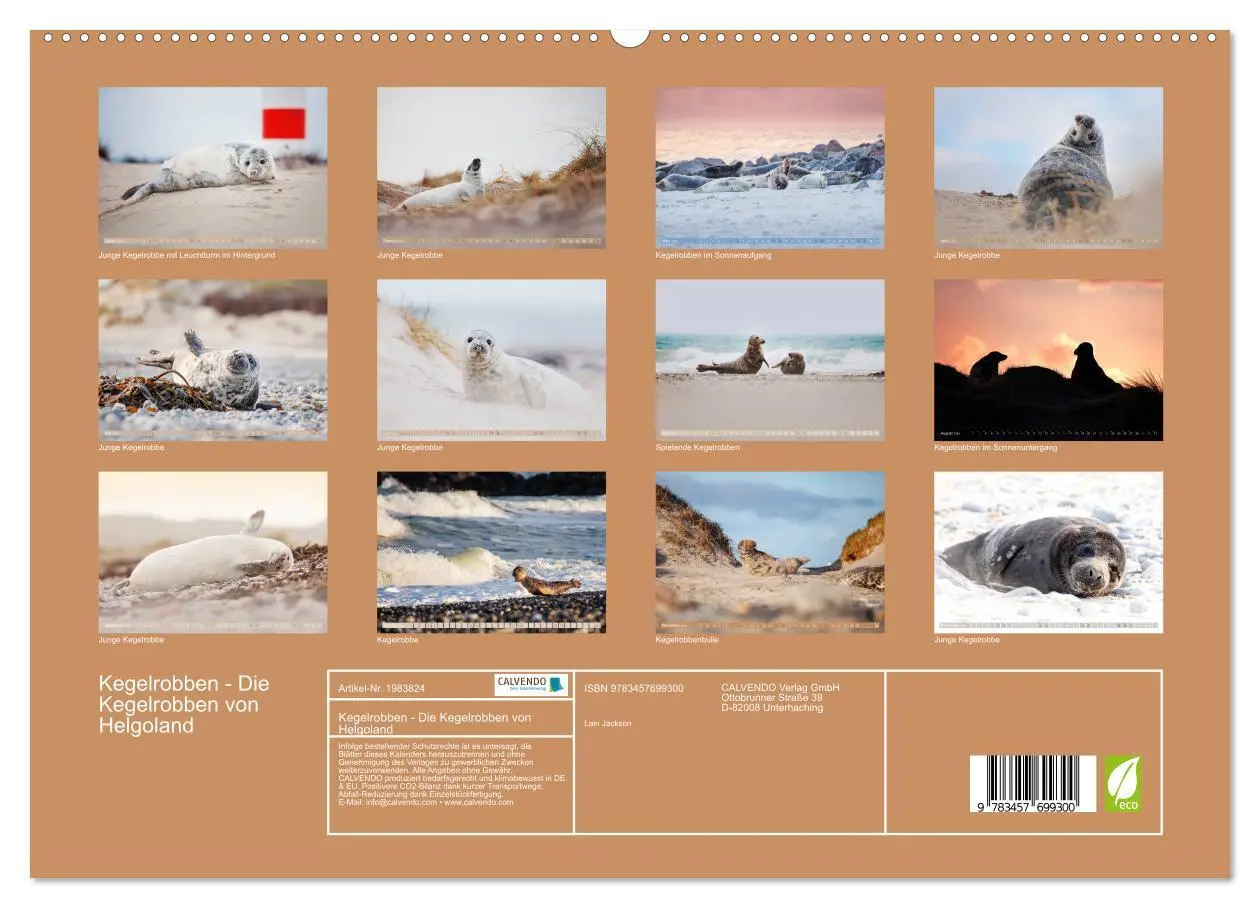 Bild: 9783457699300 | Kegelrobben - Die Kegelrobben von Helgoland (hochwertiger Premium...