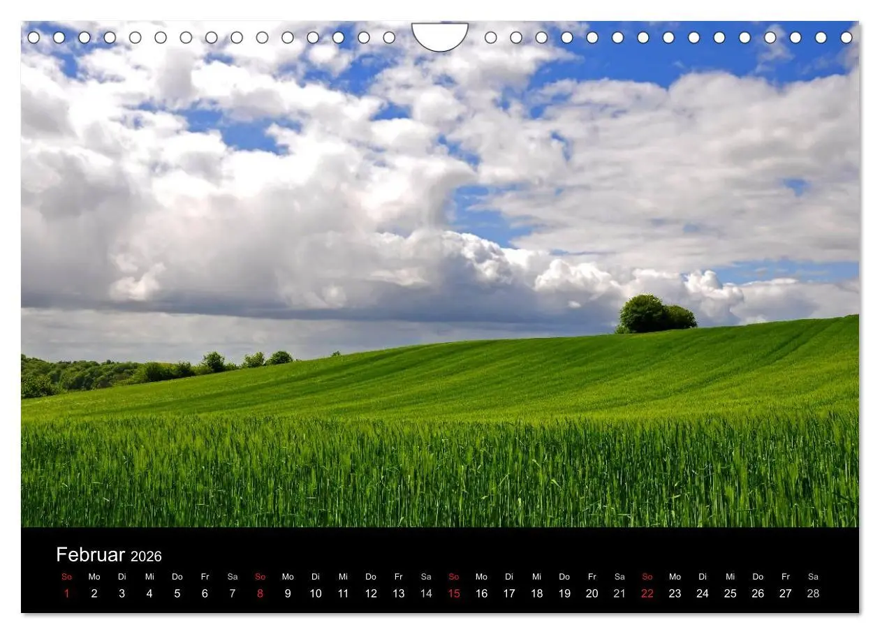 Bild: 9783516169300 | Plön - die Stadt am See (Wandkalender 2026 DIN A4 quer), CALVENDO...