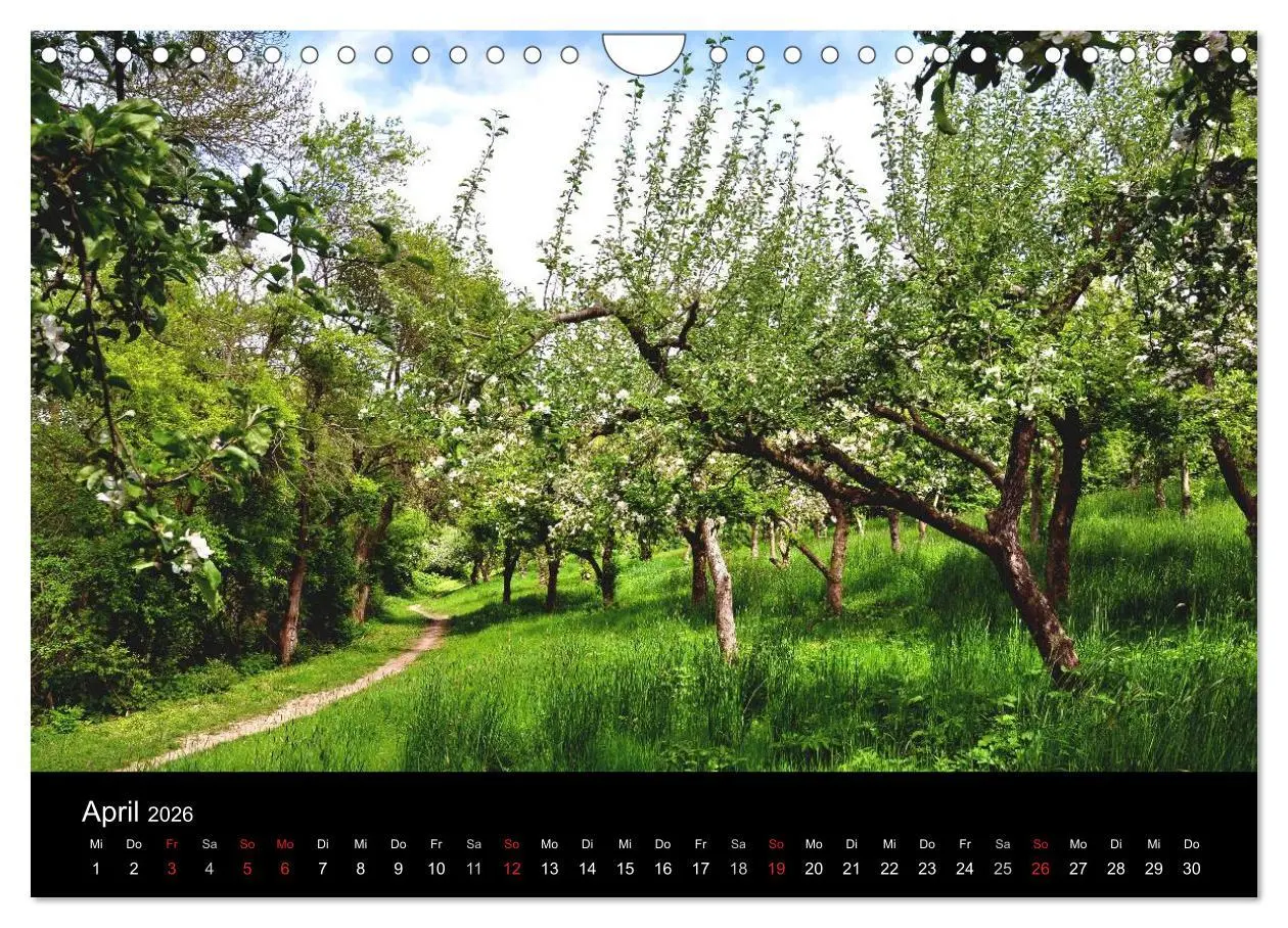 Bild: 9783516169300 | Plön - die Stadt am See (Wandkalender 2026 DIN A4 quer), CALVENDO...