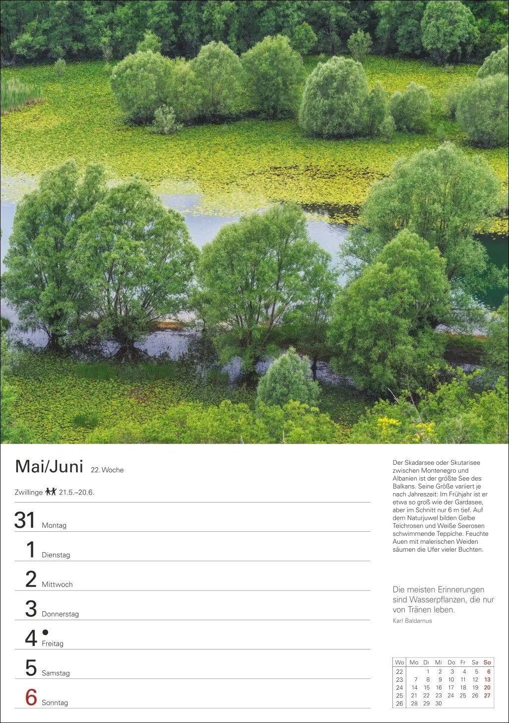 Bild: 9783840039300 | Bäume Wochenplaner 2027 - 53 stimmungsvolle Fotografien | Kalender