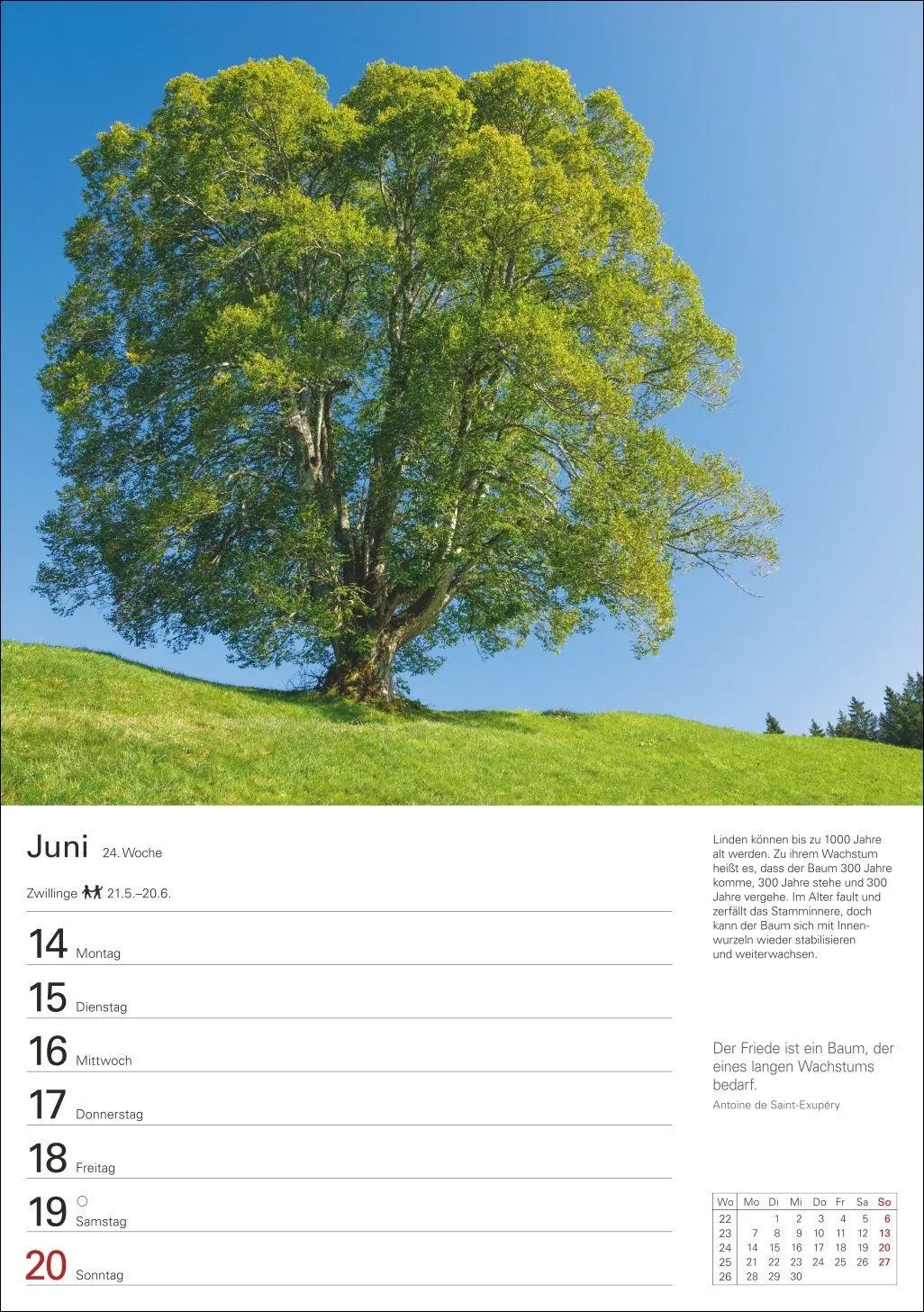 Bild: 9783840039300 | Bäume Wochenplaner 2027 - 53 stimmungsvolle Fotografien | Kalender