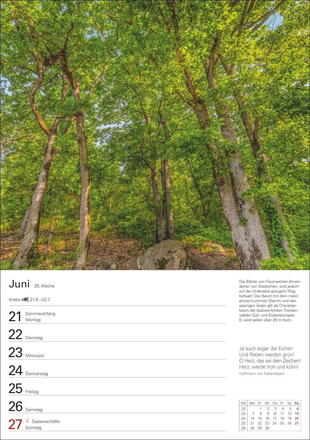 Bild: 9783840039300 | Bäume Wochenplaner 2027 - 53 stimmungsvolle Fotografien | Kalender