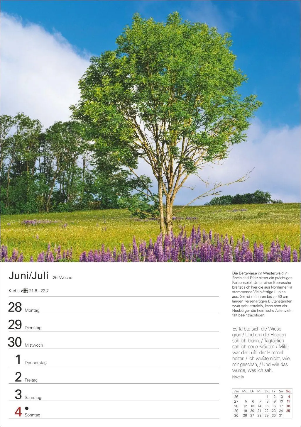 Bild: 9783840039300 | Bäume Wochenplaner 2027 - 53 stimmungsvolle Fotografien | Kalender