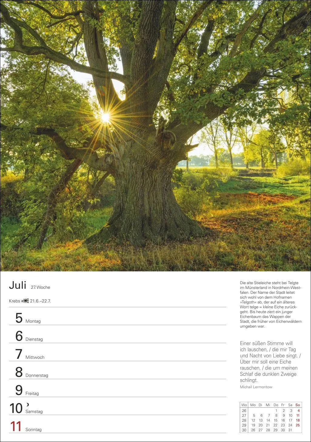 Bild: 9783840039300 | Bäume Wochenplaner 2027 - 53 stimmungsvolle Fotografien | Kalender