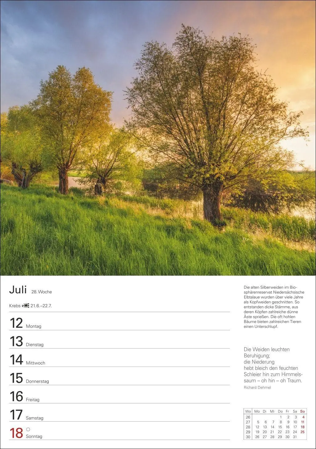Bild: 9783840039300 | Bäume Wochenplaner 2027 - 53 stimmungsvolle Fotografien | Kalender