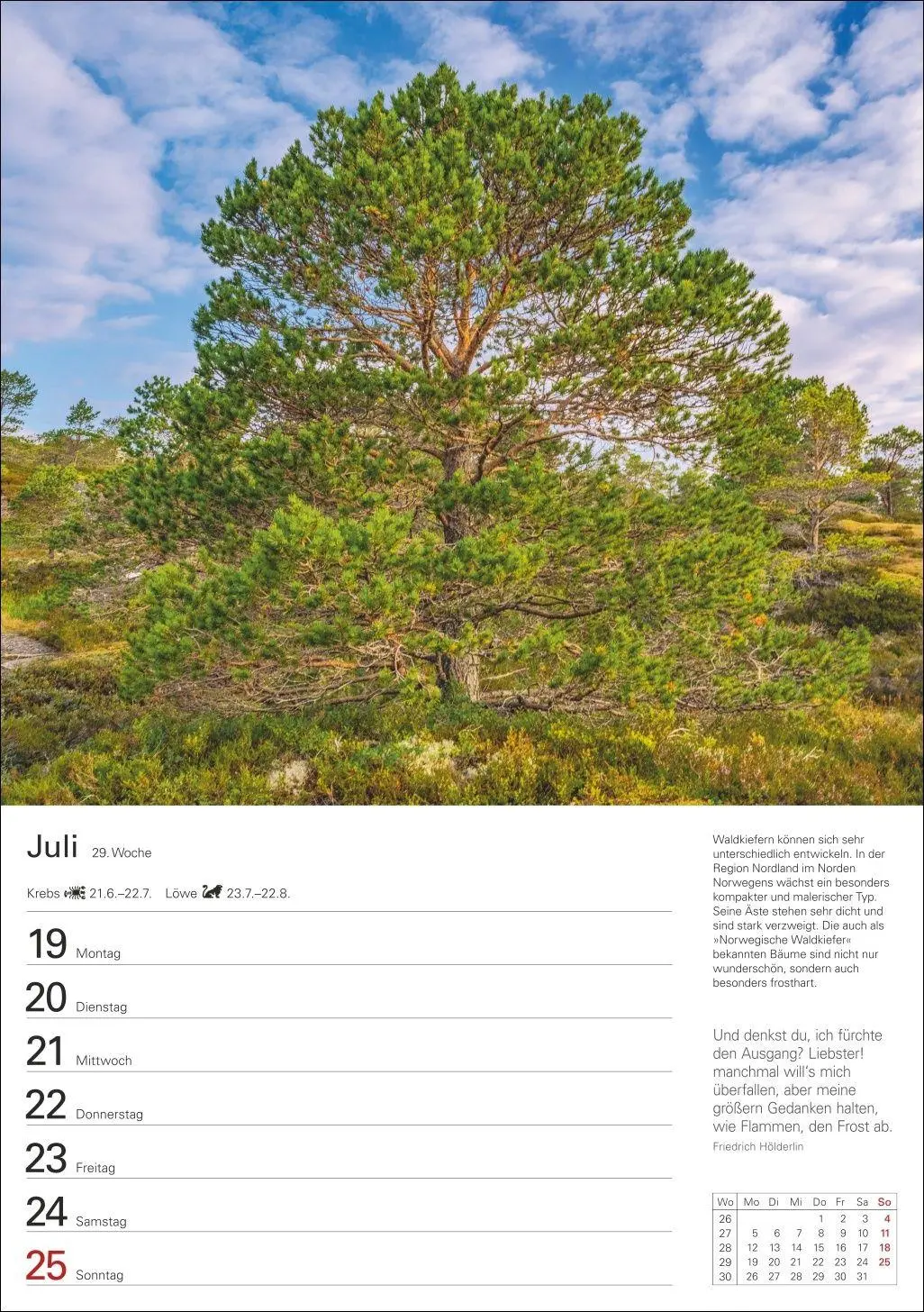 Bild: 9783840039300 | Bäume Wochenplaner 2027 - 53 stimmungsvolle Fotografien | Kalender