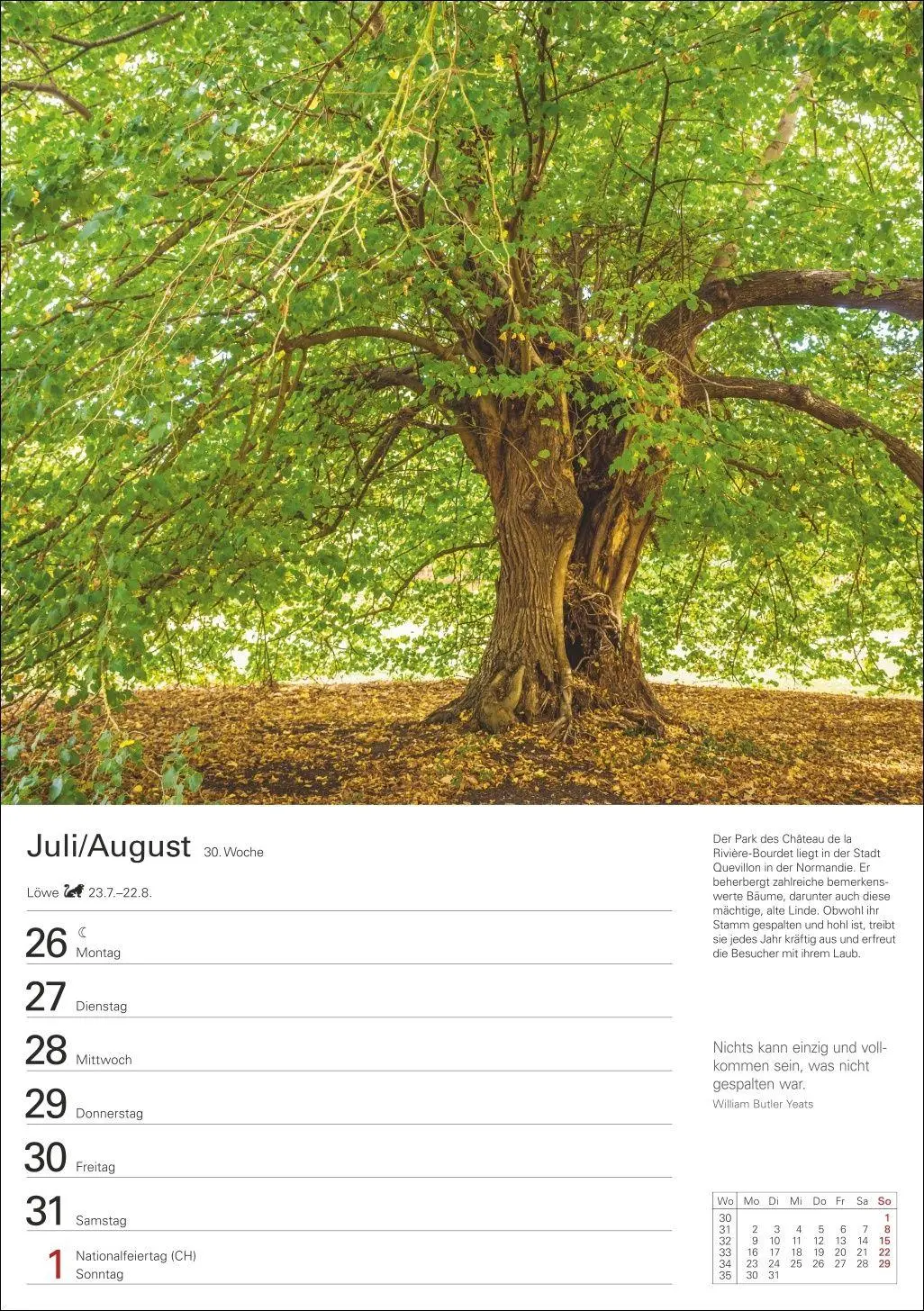 Bild: 9783840039300 | Bäume Wochenplaner 2027 - 53 stimmungsvolle Fotografien | Kalender