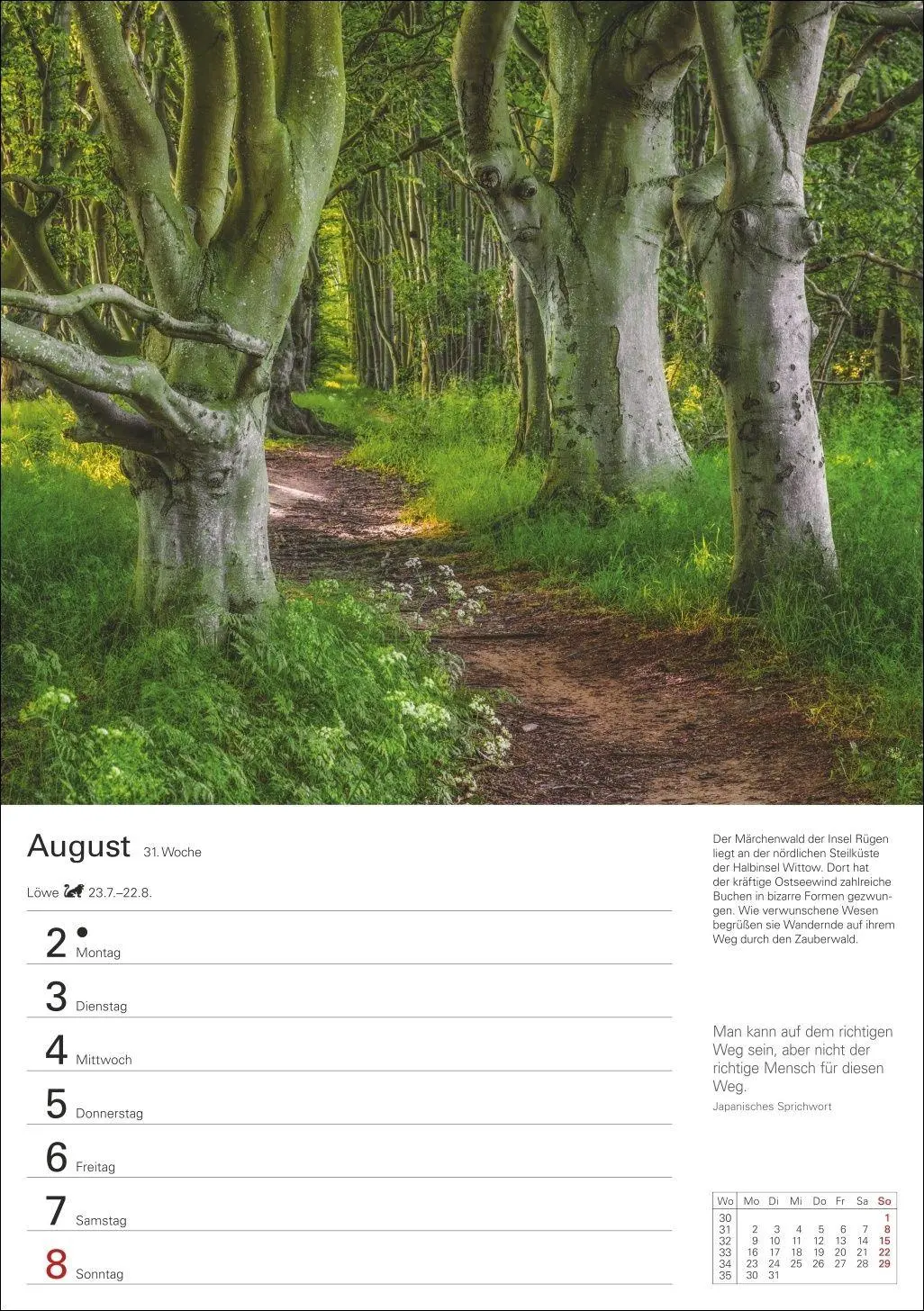 Bild: 9783840039300 | Bäume Wochenplaner 2027 - 53 stimmungsvolle Fotografien | Kalender