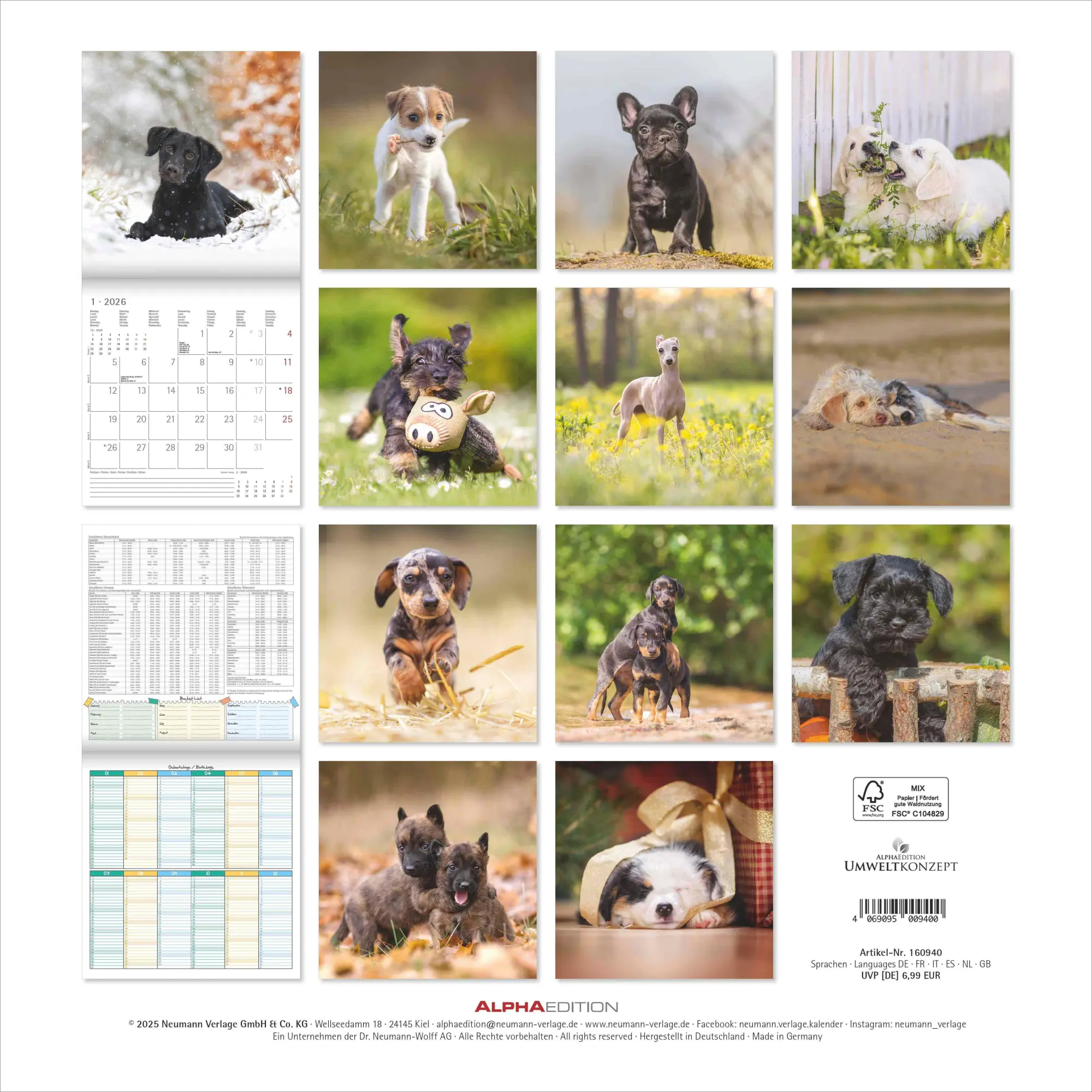 Bild: 4069095009400 | Welpen 2026 - Broschürenkalender 30x30 cm (30x60 geöffnet) -...