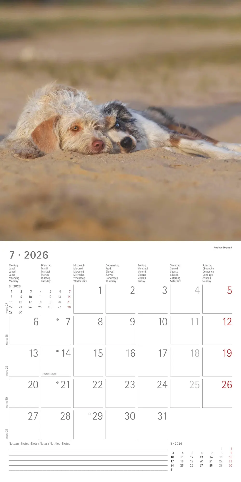 Bild: 4069095009400 | Welpen 2026 - Broschürenkalender 30x30 cm (30x60 geöffnet) -...