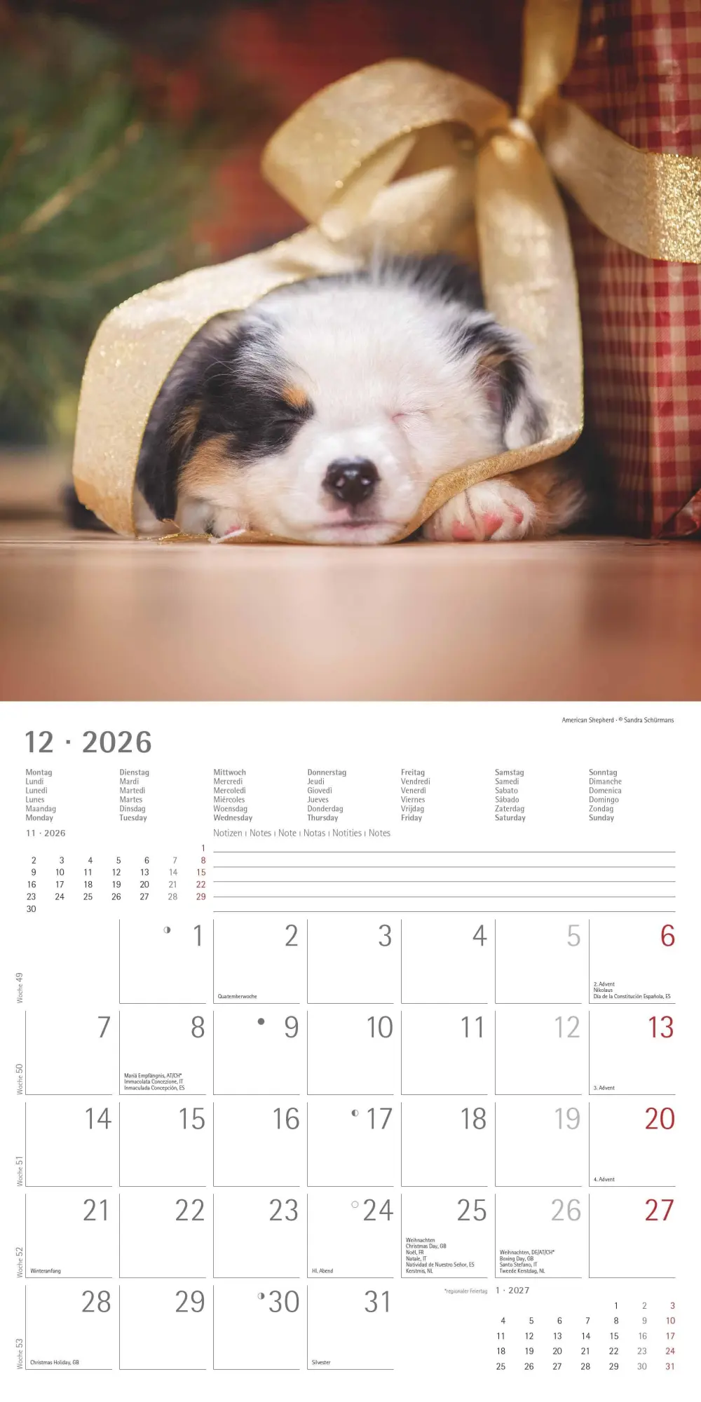 Bild: 4069095009400 | Welpen 2026 - Broschürenkalender 30x30 cm (30x60 geöffnet) -...