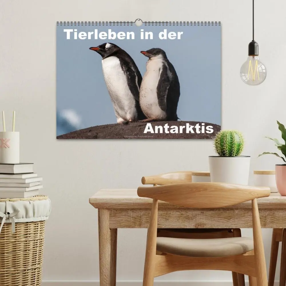 Bild: 9783516159400 | Tierleben in der Antarktis (Wandkalender 2026 DIN A3 quer),...