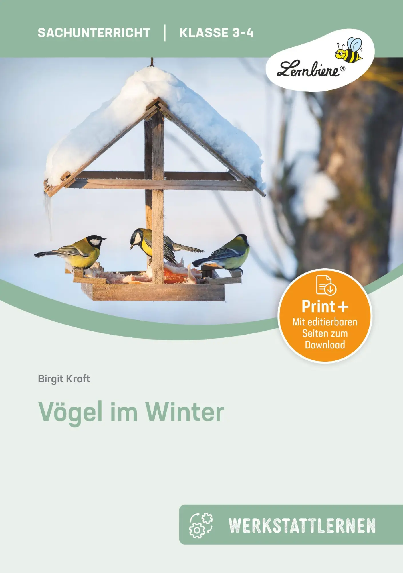 Cover: 9783956649400 | Vögel im Winter | (3. und 4. Klasse) | Birgit Kraft | Bundle | Deutsch