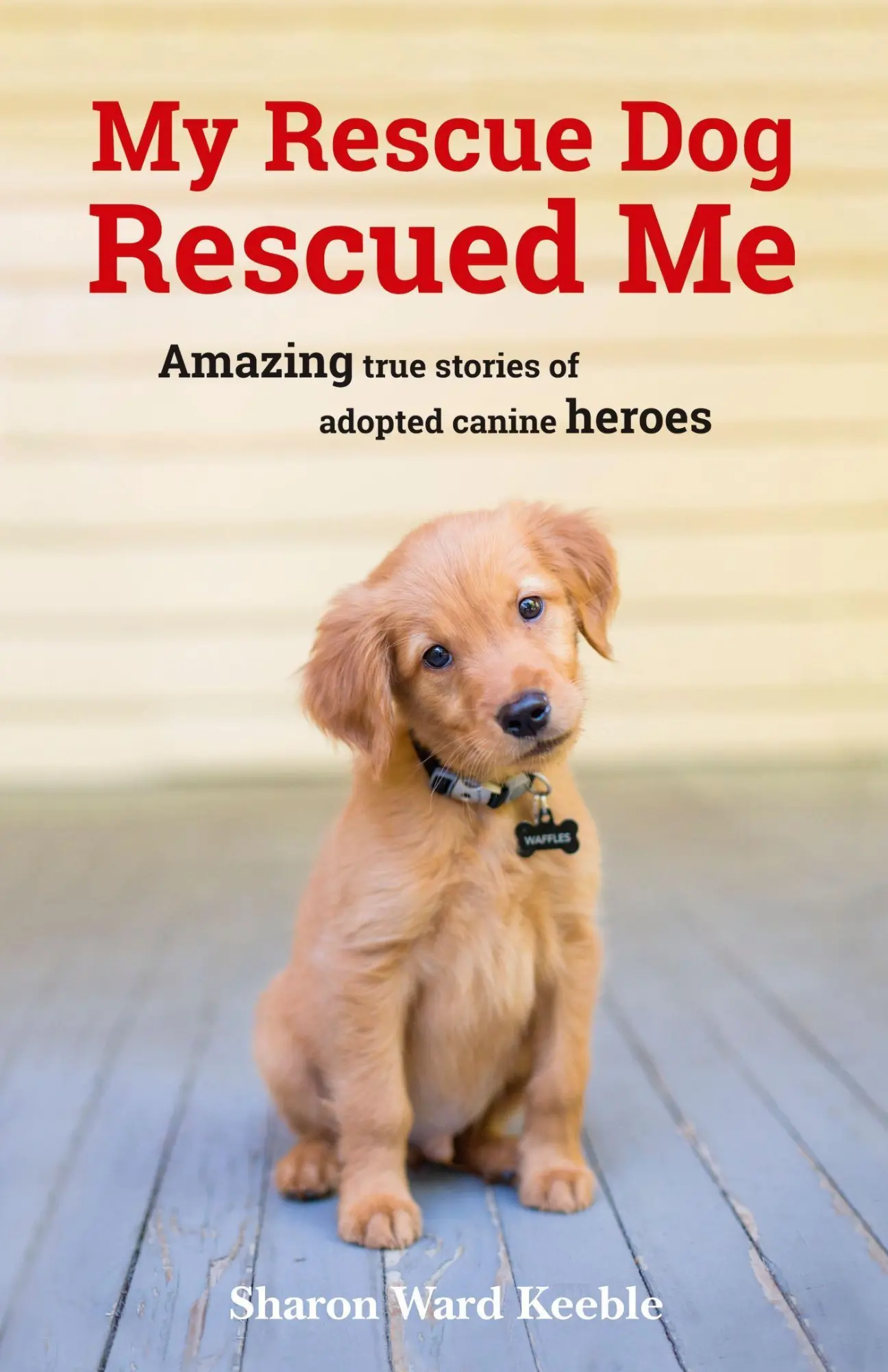 Cover: 9781849539500 | My Rescue Dog Rescued Me | Sharon Ward Keeble | Taschenbuch | Englisch