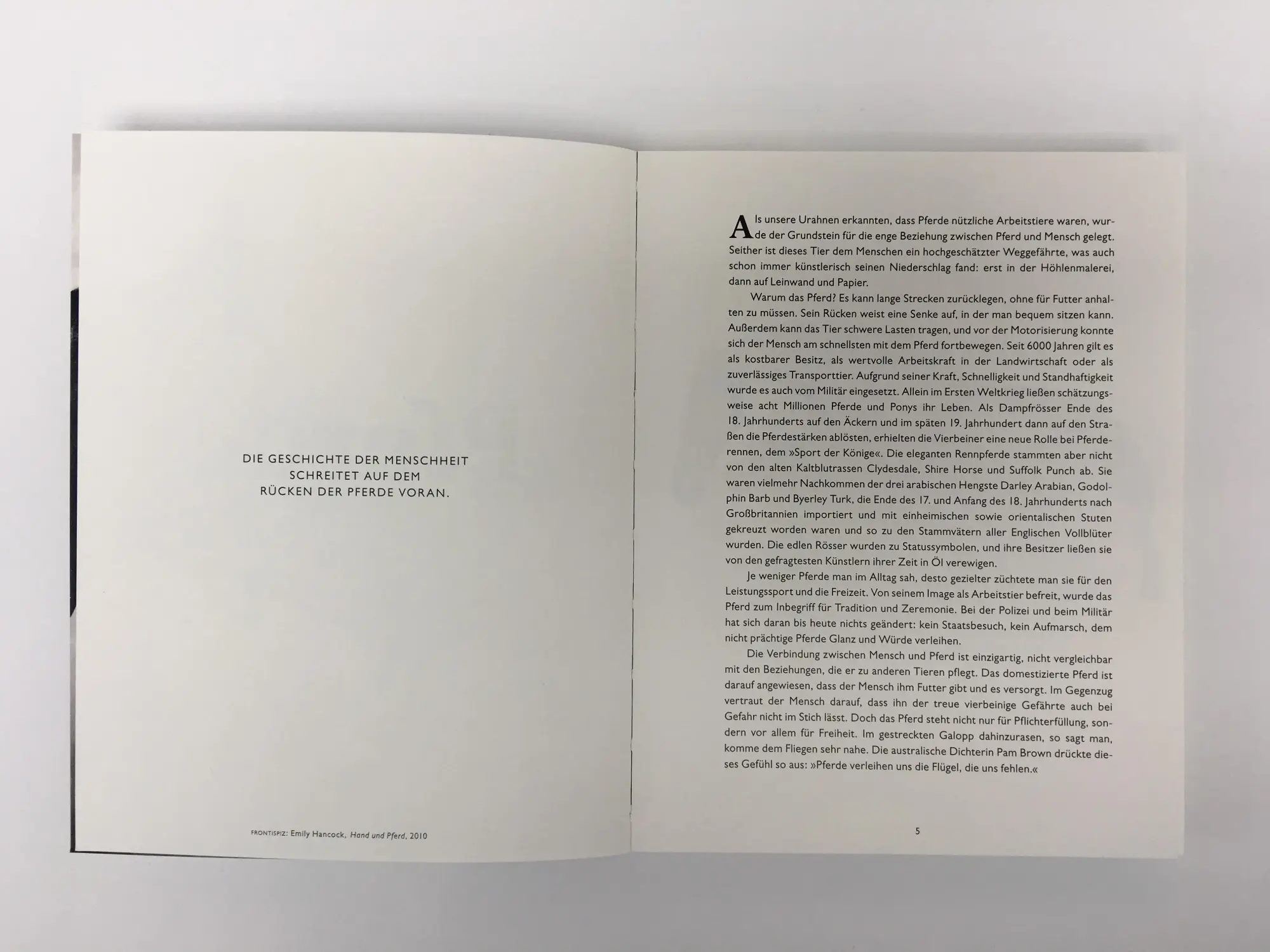 Bild: 9783832199500 | Pferde in der Kunst | Angus Hyland (u. a.) | Taschenbuch | 160 S.