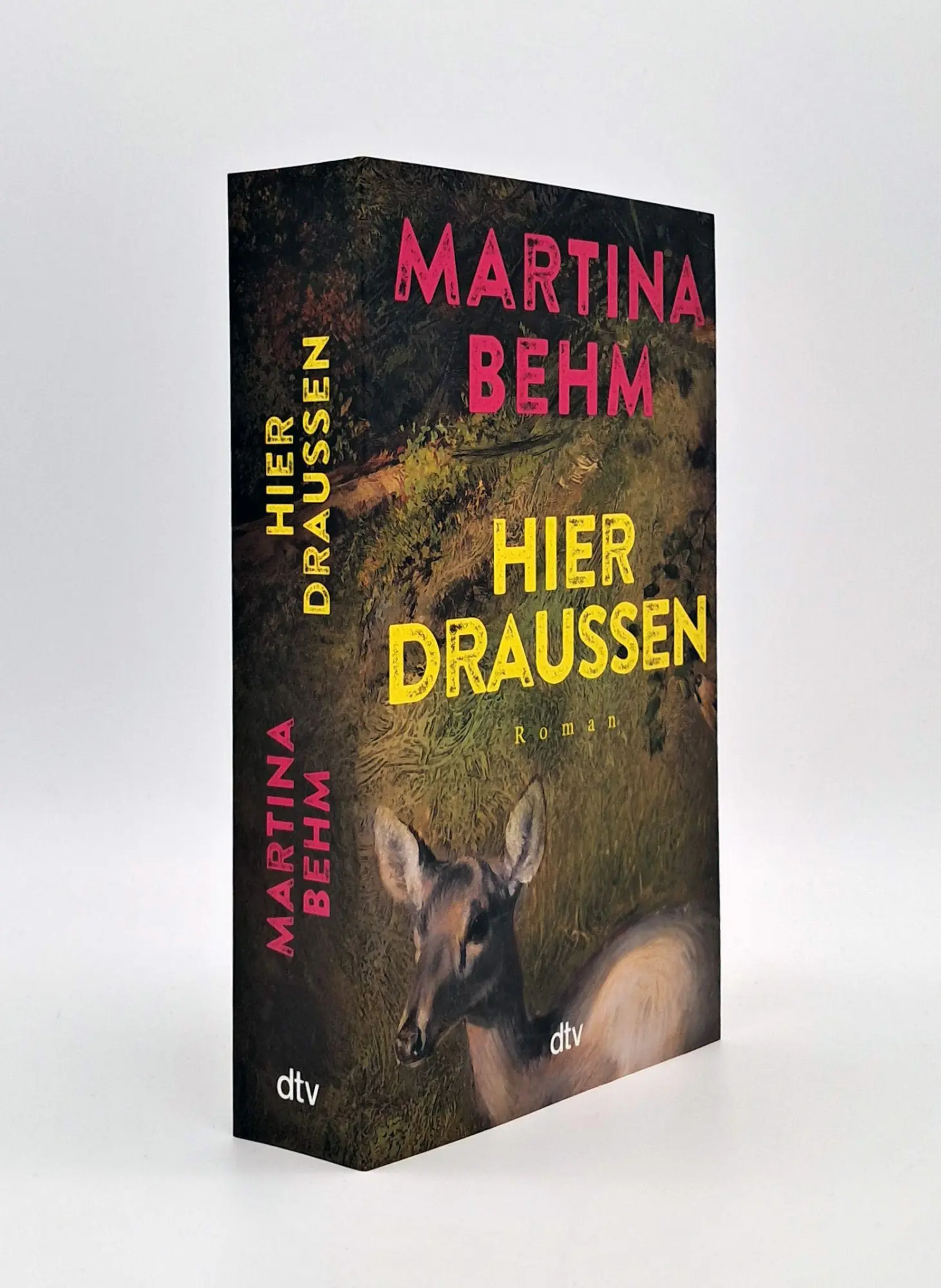 Bild: 9783423149600 | Hier draußen | Martina Behm | Taschenbuch | 496 S. | Deutsch | 2026