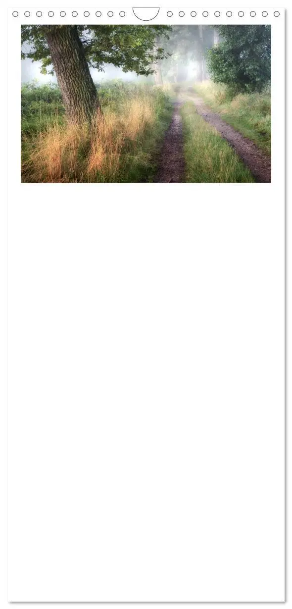 Bild: 9783457119600 | Familienplaner 2025 - Waldkalender mit 5 Spalten (Wandkalender, 21...