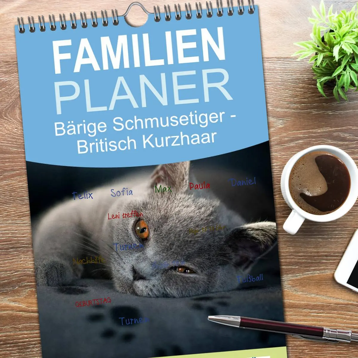 Bild: 9783516519600 | Familienplaner 2026 - Bärige Schmusetiger - Britisch Kurzhaar mit 5...