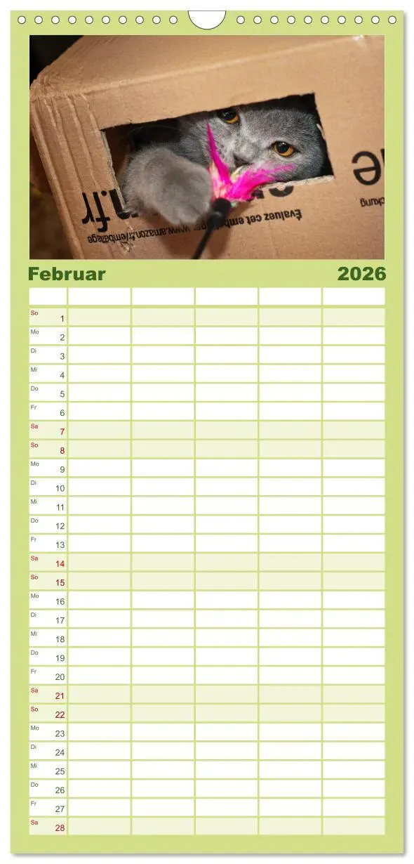 Bild: 9783516519600 | Familienplaner 2026 - Bärige Schmusetiger - Britisch Kurzhaar mit 5...