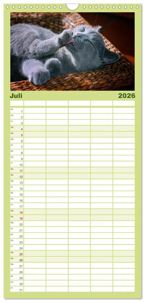 Bild: 9783516519600 | Familienplaner 2026 - Bärige Schmusetiger - Britisch Kurzhaar mit 5...