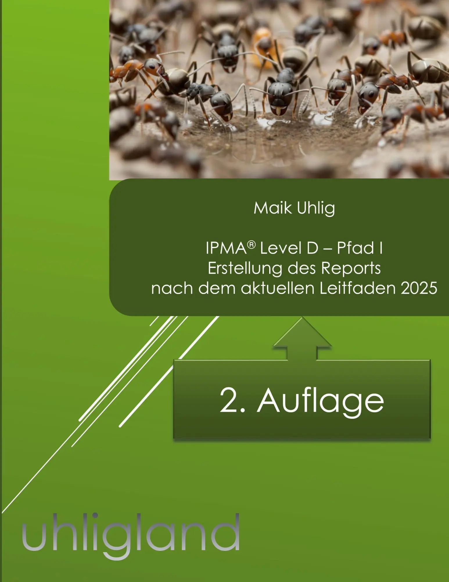 Cover: 9783695199600 | IPMA(R) Level D - Report | Maik Uhlig | Taschenbuch | 230 S. | Deutsch