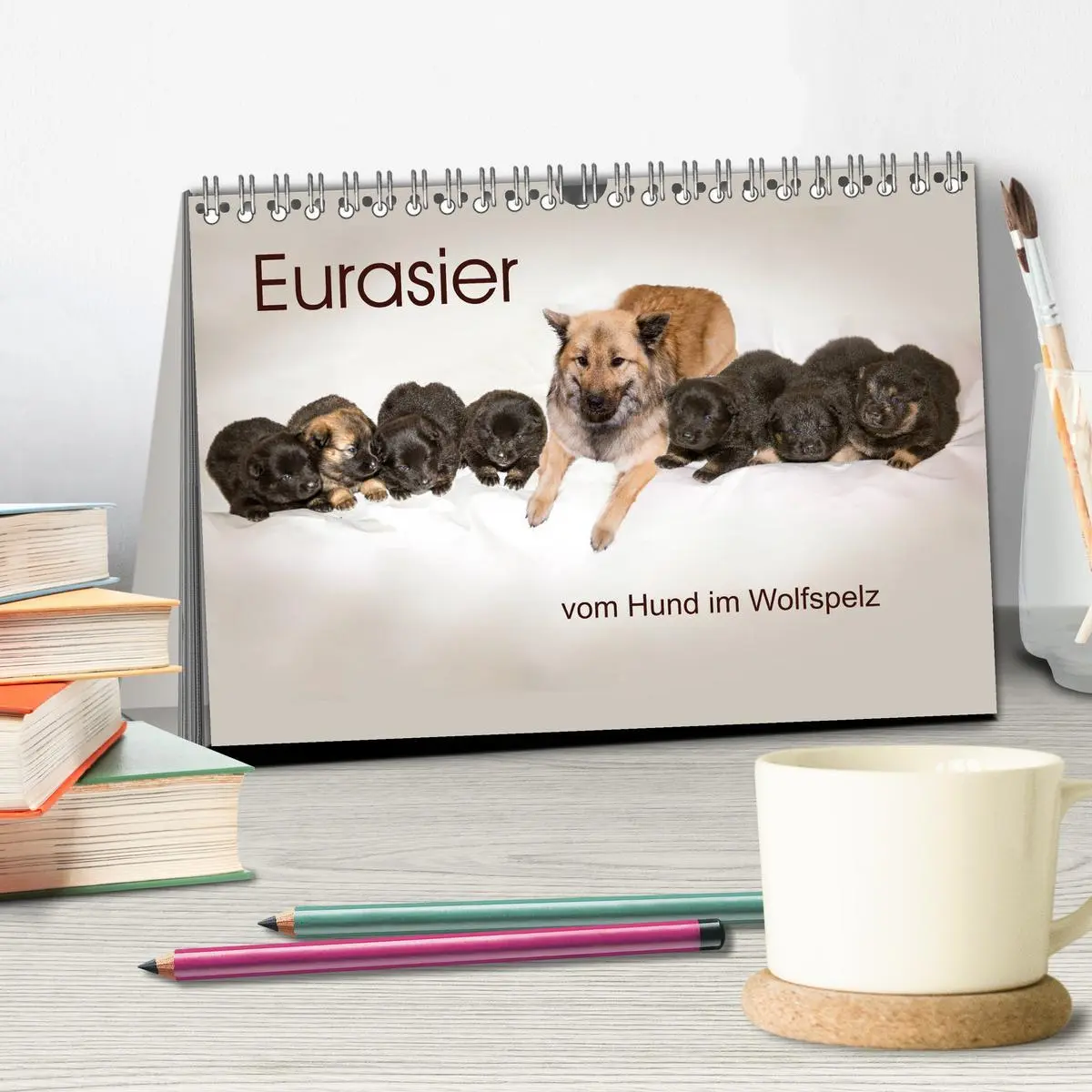 Bild: 9783457729700 | Eurasier, der Hund im Wolfspelz (Tischkalender 2026 DIN A5 quer),...