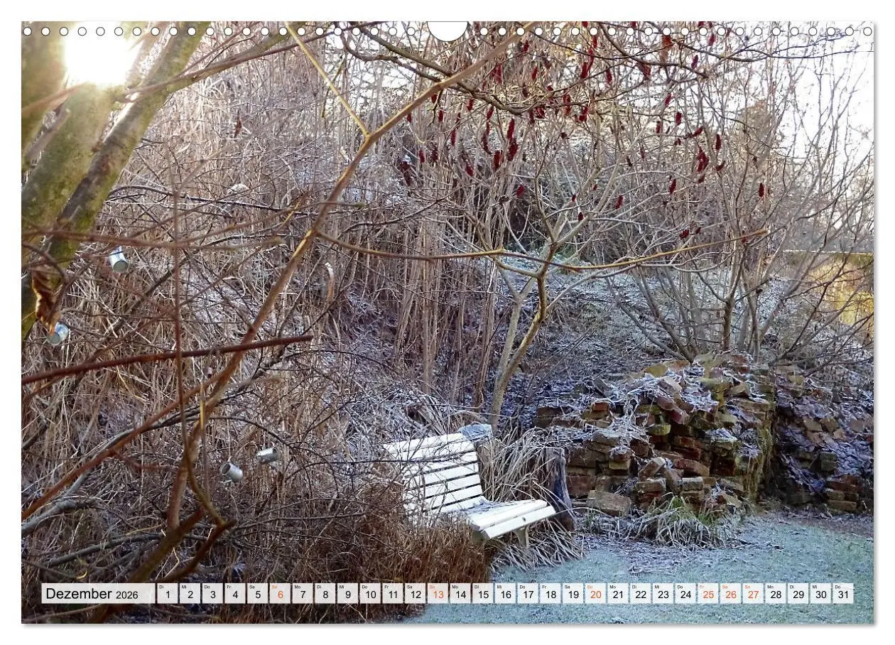 Bild: 9783457269800 | Momente im Garten (Wandkalender 2026 DIN A3 quer), CALVENDO...