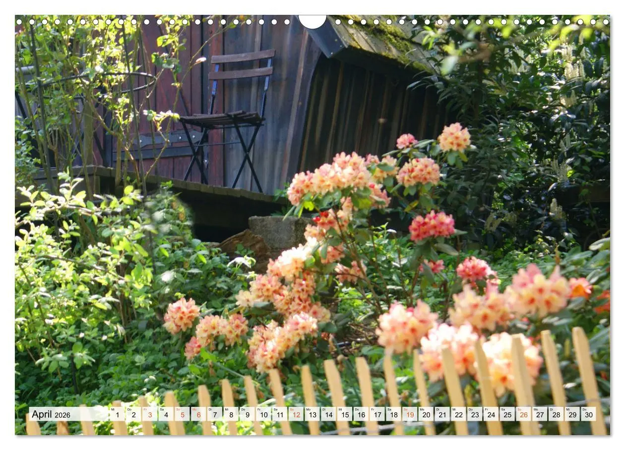 Bild: 9783457269800 | Momente im Garten (Wandkalender 2026 DIN A3 quer), CALVENDO...