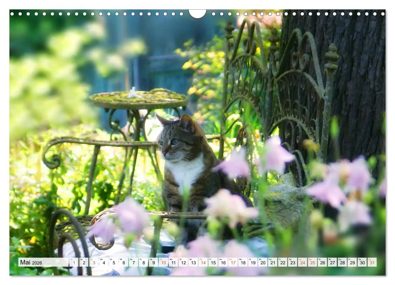 Bild: 9783457269800 | Momente im Garten (Wandkalender 2026 DIN A3 quer), CALVENDO...