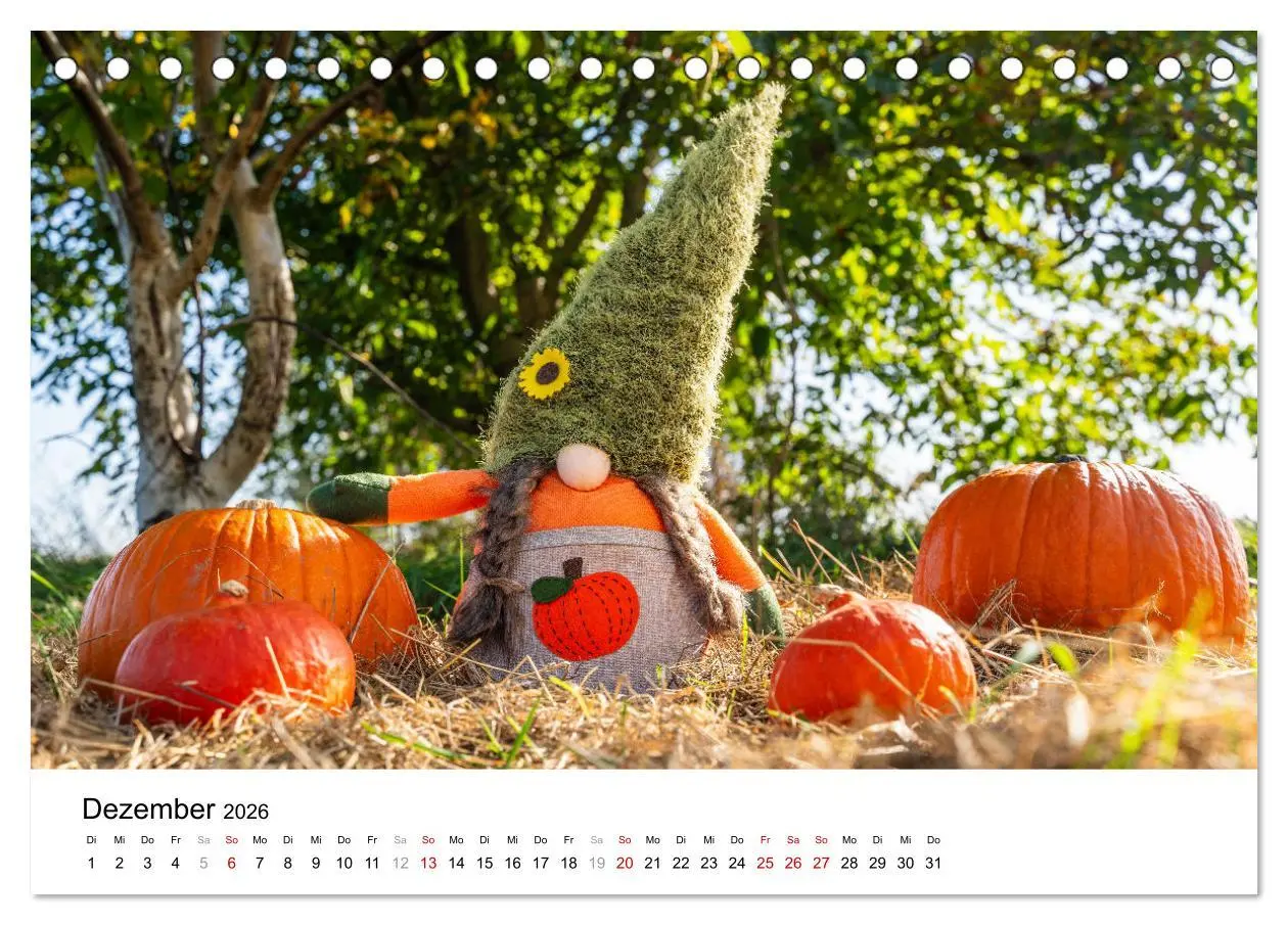 Bild: 9783457339800 | KÜRBIS KALENDER - Die schönsten Kürbisse des Jahres (Tischkalender...