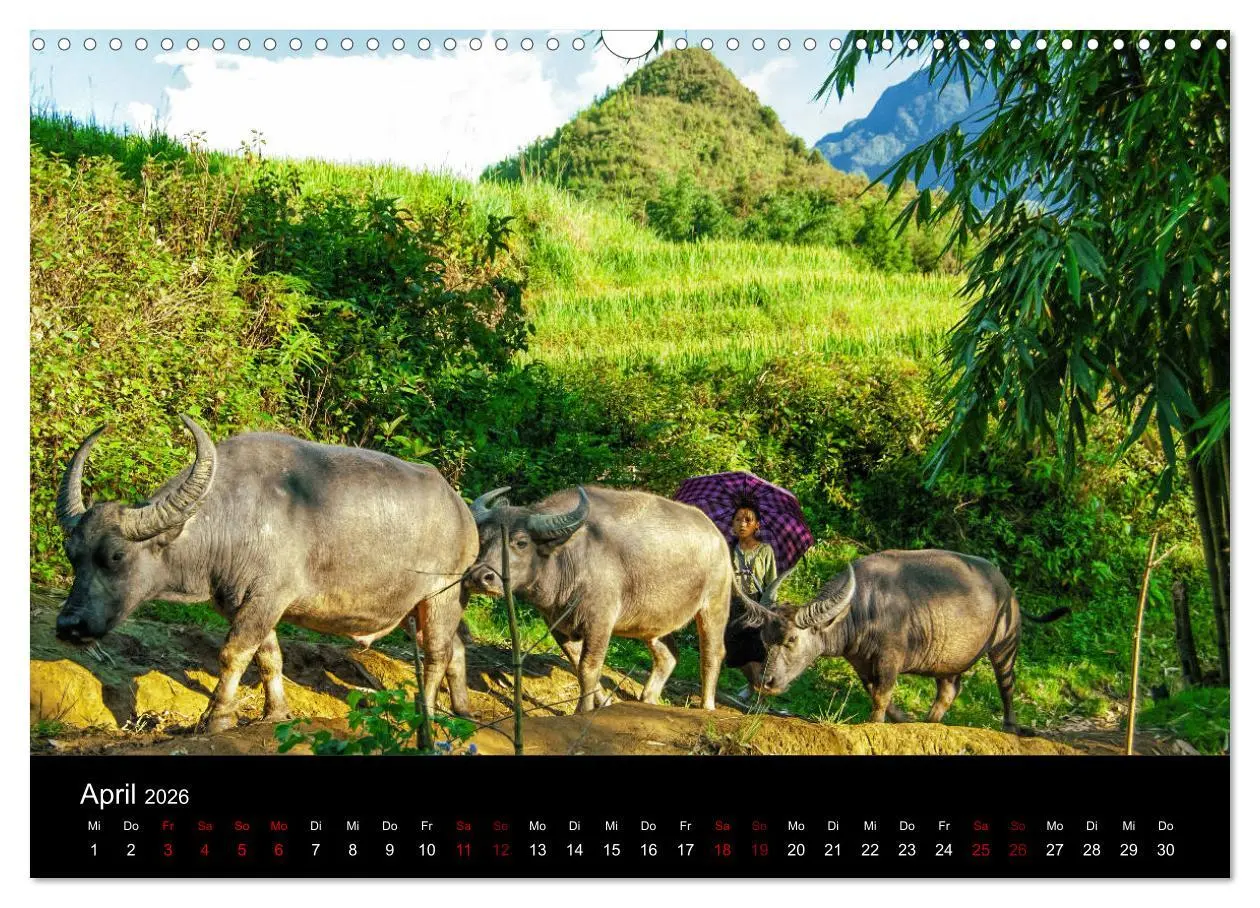 Bild: 9783457879900 | Guten Morgen, Vietnam! (Wandkalender 2026 DIN A3 quer), CALVENDO...