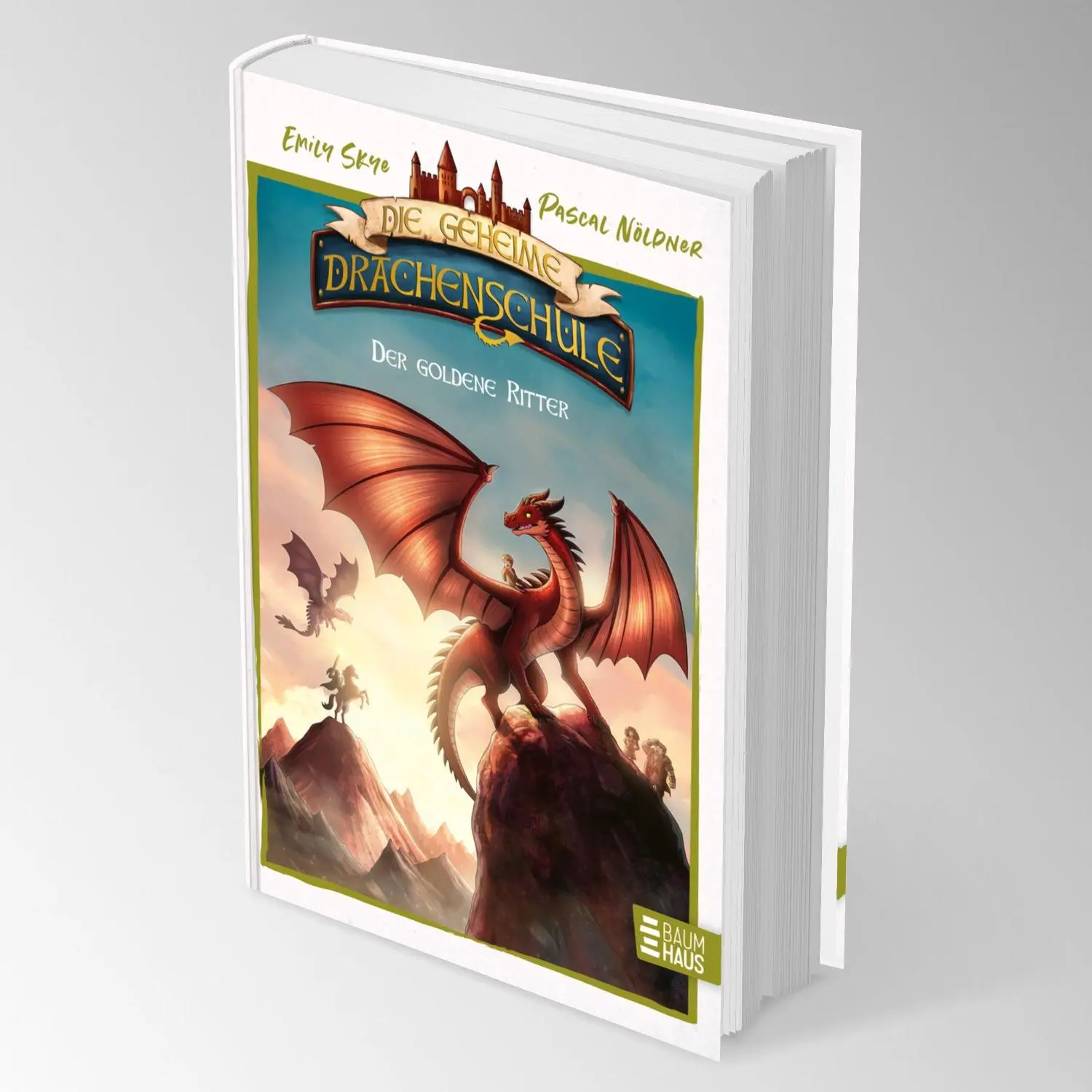 Bild: 9783833909900 | Die geheime Drachenschule - Der goldene Ritter | Emily Skye | Buch